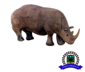 HO Scale - Walking Rhino - Unpainted